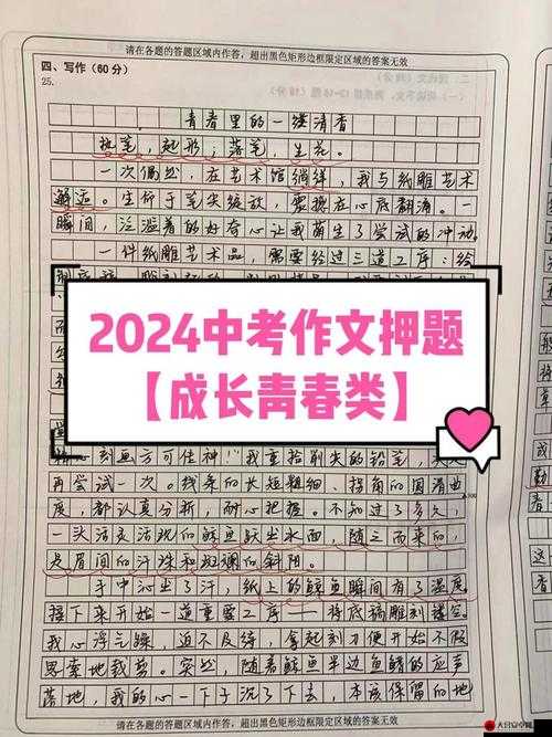 1x1x1x 任意槽 2023：这是一个独特且重要的组合表述